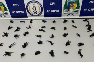 homem-e-preso-suspeito-por-trafico-de-drogas-em-cristalandia-–-pm-to