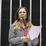 camara-discutira-formas-de-reduzir-os-indices-de-violencia-contra-mulheres