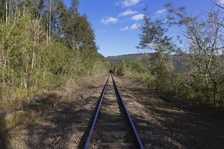 comissao-debate-contrato-de-concessao-ferroviaria-da-rumo-malha-sul