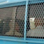 franca-condena-ex-jogadores-de-rugbi-a-ate-14-anos-de-prisao-por-estupro