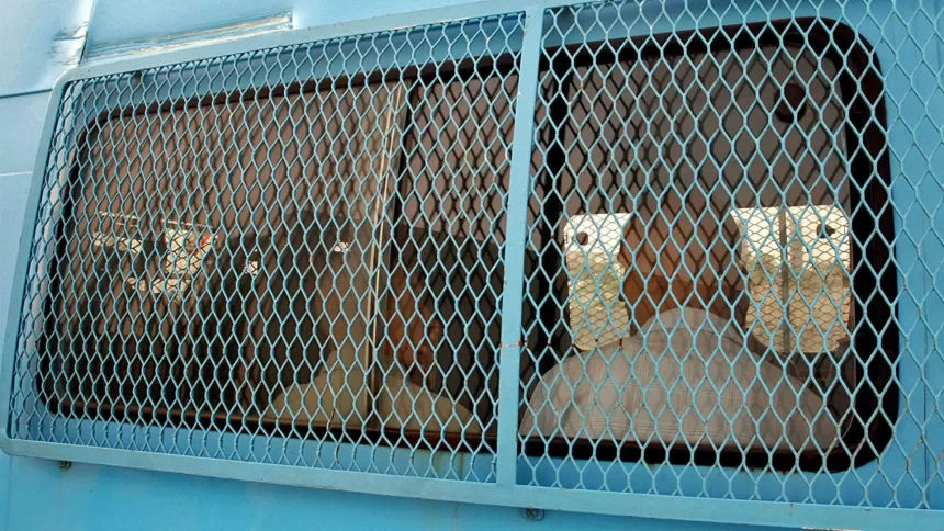 franca-condena-ex-jogadores-de-rugbi-a-ate-14-anos-de-prisao-por-estupro