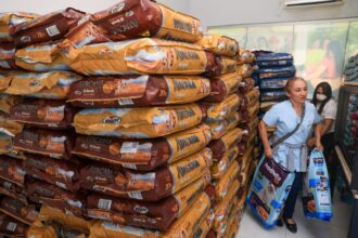 prefeitura-de-palmas-realiza-terceira-entrega-do-programa-tigela-cheia-nesta-sexta-feira,-10