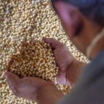 comissao-de-agricultura-debate-rastreabilidade-de-agrotoxicos-e-certificacao-de-graos