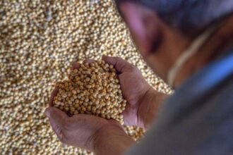 comissao-de-agricultura-debate-rastreabilidade-de-agrotoxicos-e-certificacao-de-graos