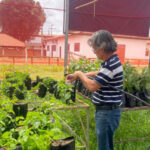 ruraltins-destaca-inovacao-e-diversificacao-de-culturas-na-agrotins-2026-–-secom-to