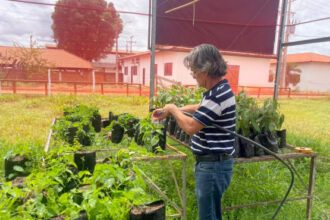 ruraltins-destaca-inovacao-e-diversificacao-de-culturas-na-agrotins-2026-–-secom-to