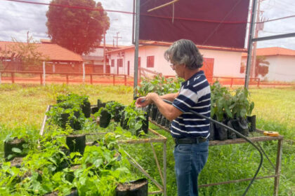 ruraltins-destaca-inovacao-e-diversificacao-de-culturas-na-agrotins-2026-–-secom-to