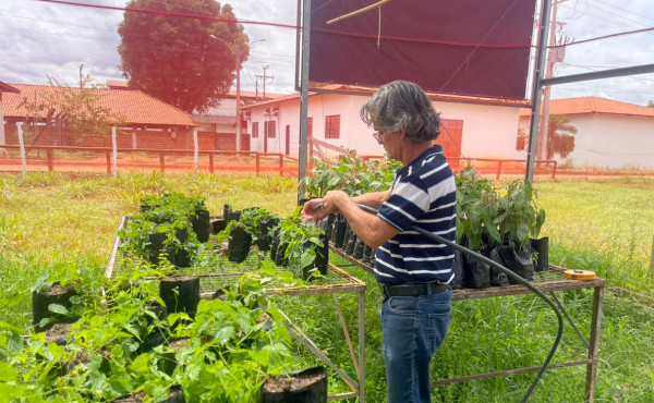 ruraltins-destaca-inovacao-e-diversificacao-de-culturas-na-agrotins-2026-–-secom-to