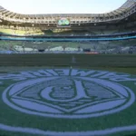 fifa-lanca-ranking-da-copa-do-mundo-de-clubes;-palmeiras-lidera-na-conmebol