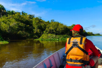 bombeiros-realizam-buscas-por-homem-desaparecido-na-zona-rural-de-aragominas
-–-bombeiros-to