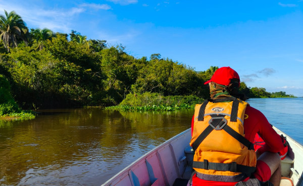 bombeiros-realizam-buscas-por-homem-desaparecido-na-zona-rural-de-aragominas
-–-bombeiros-to