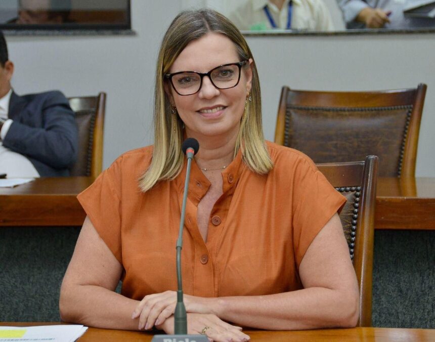 claudia-lelis-e-auri-wulange-intensificam-luta-por-pavimentacao-de-rodovias-no-bico-do-papagaio*