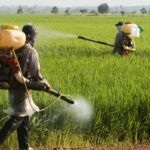 comissao-debate-efeitos-dos-herbicidas-hormonais-sobre-a-saude-e-a-biodiversidade