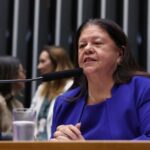 comissao-aprova-novos-criterios-de-idoneidade-para-candidatos-a-conselheiro-tutelar