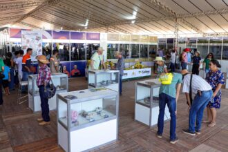 pavilhao-da-mineracao-na-agrotins-2026-apresenta-experiencia-imersiva-com-realidade-aumentada,-exposicao-de-rochas-e-minerais