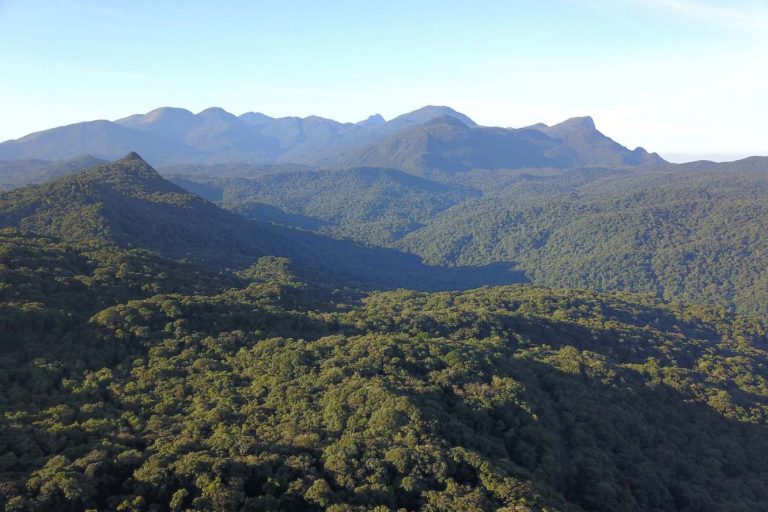 comissao-debate-papel-da-mata-atlantica-na-adaptacao-as-mudancas-climaticas