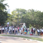 palmas-para-o-brincar-reune-familias-no-parque-cesamar-com-tarde-de-atividades-e-piquenique-neste-sabado,-23