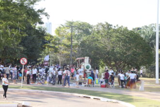 palmas-para-o-brincar-reune-familias-no-parque-cesamar-com-tarde-de-atividades-e-piquenique-neste-sabado,-23