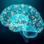 neurologista-revela-os-5-truques-para-o-“cerebro-demorar-a-envelhecer”