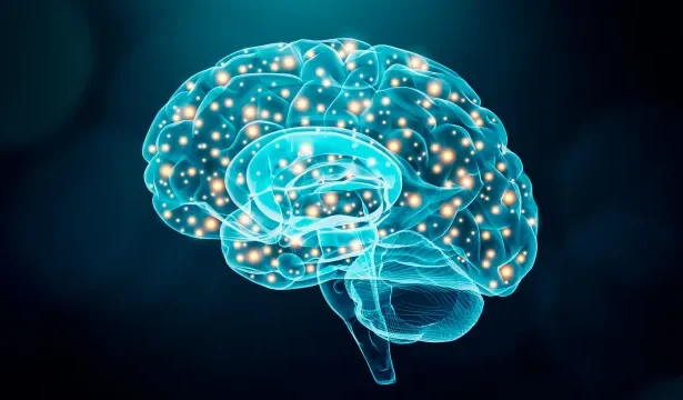 neurologista-revela-os-5-truques-para-o-“cerebro-demorar-a-envelhecer”