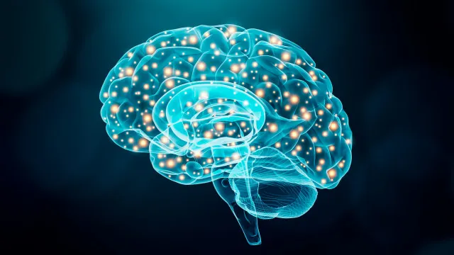 neurologista-revela-os-5-truques-para-o-“cerebro-demorar-a-envelhecer”