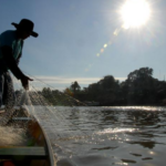 nova-lei-cria-semana-nacional-de-promocao-da-pesca-artesanal