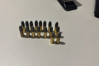 policia-civil-apreende-municoes-em-residencia-durante-ocorrencia-de-violencia-domestica-em-figueiropolis