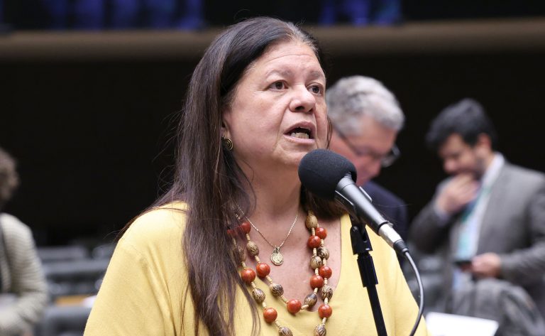 comissao-aprova-atendimento-acessivel-a-mulheres-com-deficiencia-vitimas-de-violencia-domestica