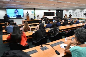 grupo-de-trabalho-debate-aspectos-juridicos-da-criminalizacao-da-misoginia