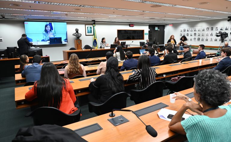 grupo-de-trabalho-debate-aspectos-juridicos-da-criminalizacao-da-misoginia