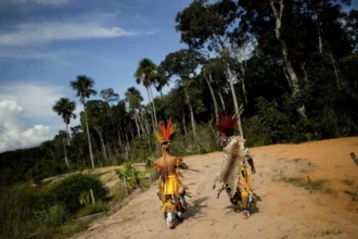 fazendeiros-usam-agrotoxicos-para-expulsar-aldeia-indigena-em-rondonia,-diz-mpf