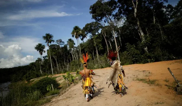 fazendeiros-usam-agrotoxicos-para-expulsar-aldeia-indigena-em-rondonia,-diz-mpf
