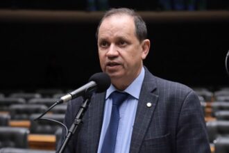 comissao-aprova-regras-para-uso-de-colas-e-objetos-cortantes-que-possam-ferir-animais