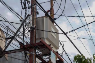 comissao-debate-praticas-ilegais-e-furtos-no-setor-de-energia-eletrica