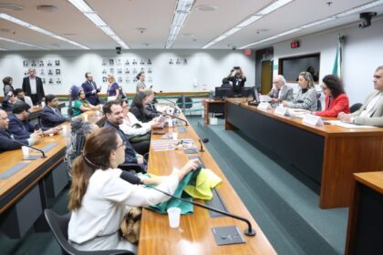 debatedores-defendem-fortalecimento-de-ouvidorias-externas-das-defensorias-publicas