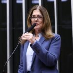 comissao-aprova-criacao-de-programa-de-protecao-e-controle-populacional-de-caes-e-gatos