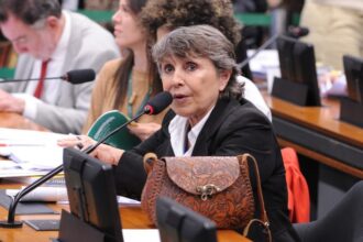 comissao-aprova-criacao-de-servico-nacional-de-acolhimento-para-mulheres-vitimas-de-violencia