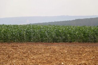 retrospectiva:-deputados-aprovaram-incentivos-para-a-industria-nacional-de-fertilizantes