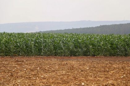 retrospectiva:-deputados-aprovaram-incentivos-para-a-industria-nacional-de-fertilizantes