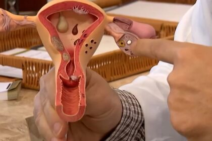 aberta-chamada-publica-para-pesquisas-sobre-endometriose