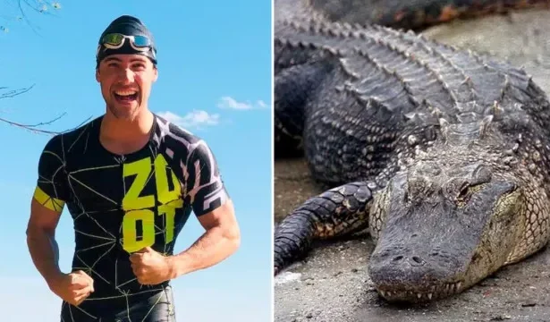 triatleta-revela-tecnica-bizarra-que-o-salvou-de-jacare-durante-treino