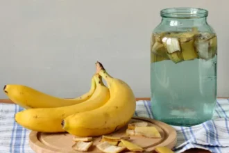 5-remedios-naturais-que-ajudam-a-aliviar-picadas-de-insetos