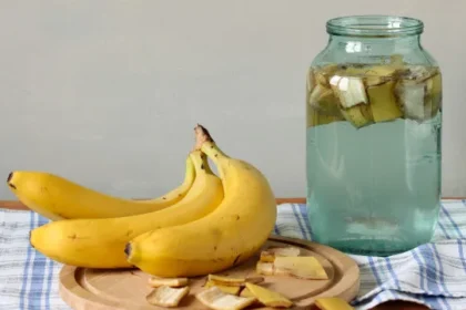 5-remedios-naturais-que-ajudam-a-aliviar-picadas-de-insetos