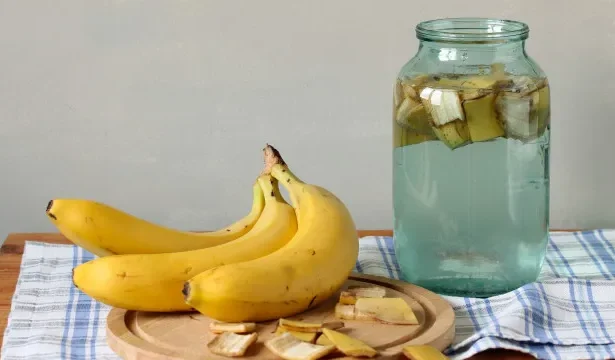 5-remedios-naturais-que-ajudam-a-aliviar-picadas-de-insetos
