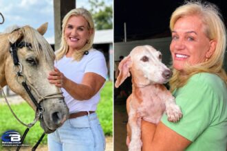 dra.-angela-da-facit-propoe-rede-de-clinicas-veterinarias-credenciadas-para-ampliar-atendimento-animal-no-tocantins