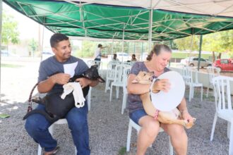 prefeitura-de-palmas-informa-suspensao-do-mutirao-de-castracao-neste-domingo,-4