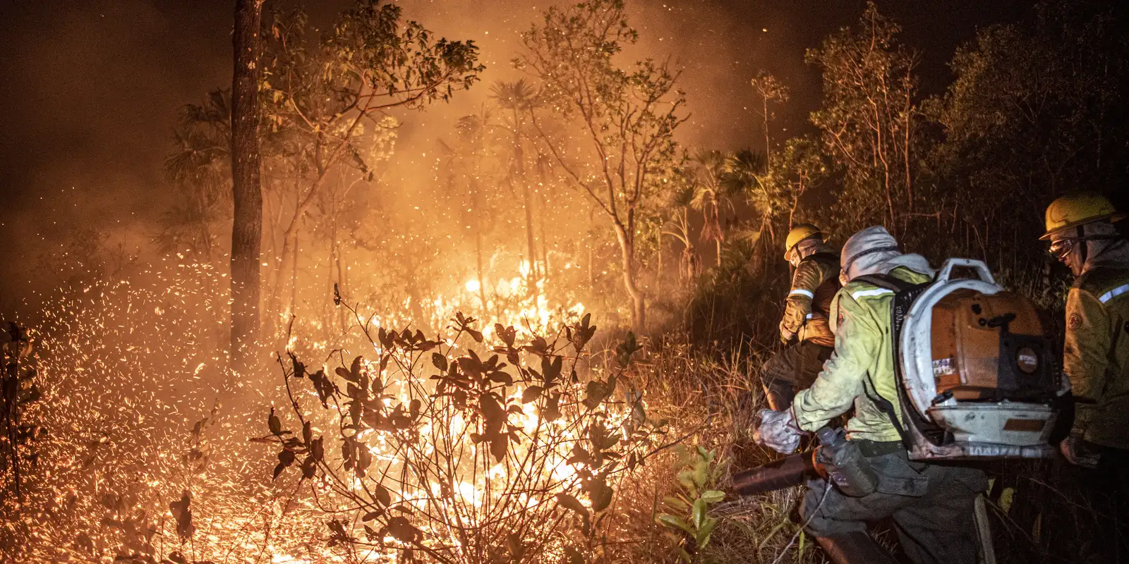 ibama-extingue-229-incendios-no-amazonas-e-segue-no-combate-ao-fogo