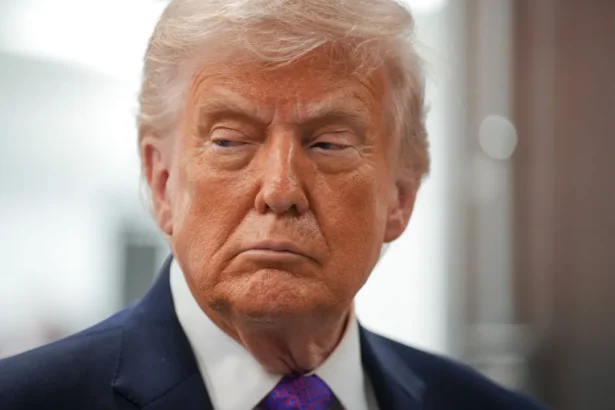 trump-e-extrema-direita-fomentam-discursos-anti-ucrania-na-europa